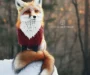 Fox Tail Scarf: The Amazing Ultimate Accessory for Winter