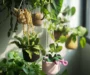 Adorable Pot Plant Decorations: An Incredible 7-Step Guide